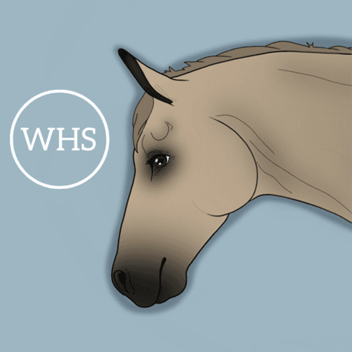 Wild Heart Stables Roblox game stats