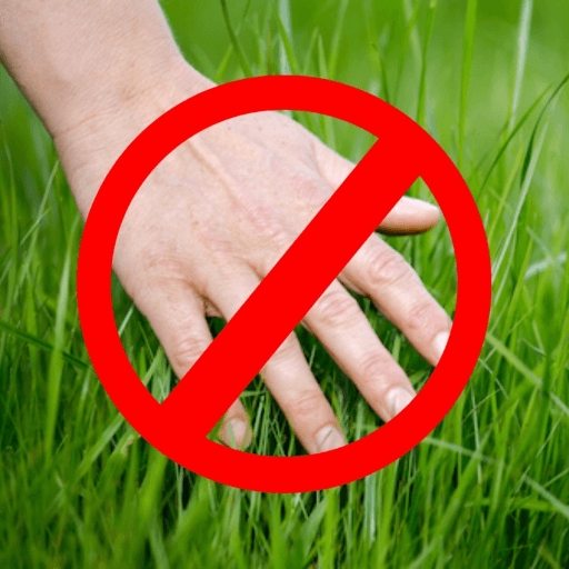 Don't Touch Grass Roblox game stats
