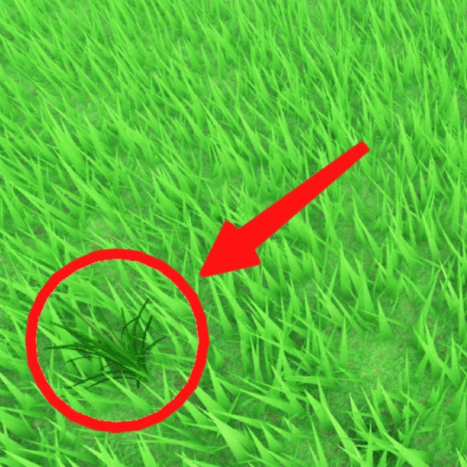 Be Grass Roblox game stats