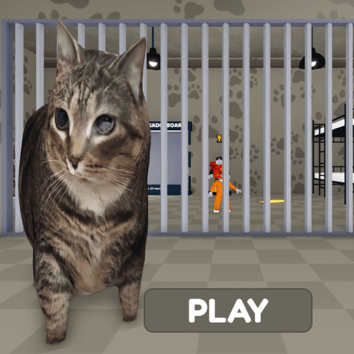 OIIA CAT'S PRISON RUN (obby) Roblox game stats