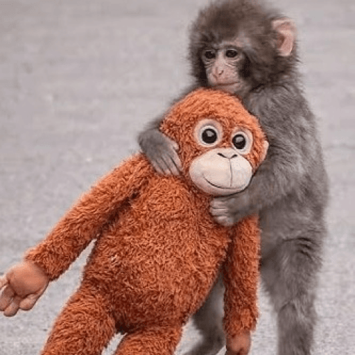 Line to Punch Monkey Roblox game stats