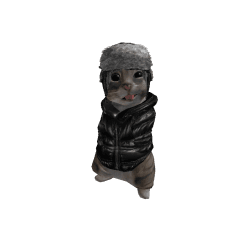 jjjwithmostjjj Roblox developer avatar