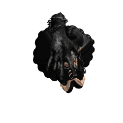 Quendrixyl Roblox developer avatar