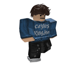 z1ced Roblox developer avatar