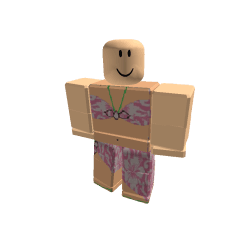 Domain Development Roblox developer avatar