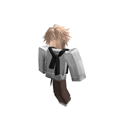 solareonk Roblox developer avatar