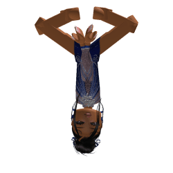 TheQueenSIeeze Roblox developer avatar