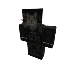 PlatinumFive Roblox developer avatar