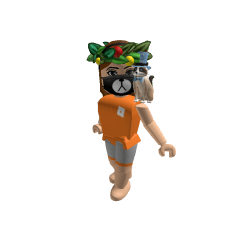 Big Dodo Roblox developer avatar