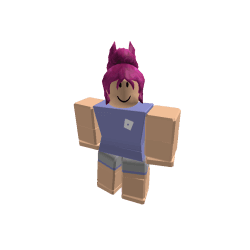 New World Interactives Roblox developer avatar