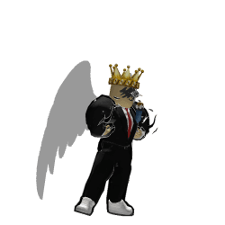 Laur20065 Roblox developer avatar
