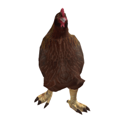 Florika11 Roblox developer avatar