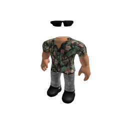 dede456456 Roblox developer avatar