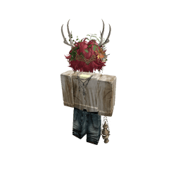 Zhronic Roblox developer avatar
