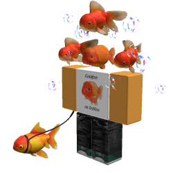 Goldfish_2048 Roblox developer avatar